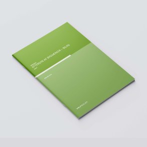 Eftersyn af bygvrker - Bilag C8. Typiske skader og skadersag, Januar 2016